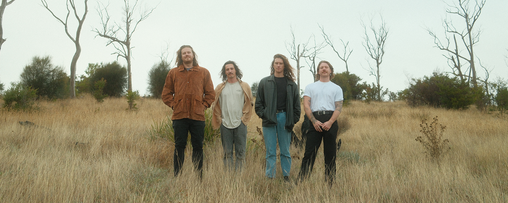 The Vanns